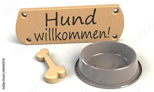 Aqua, Parkplatz Inklusive 斯维诺乌伊希切